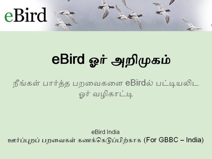 eBird Introduction_Tamil