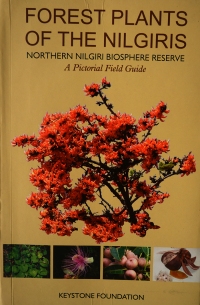 forest plants of the nilgiris